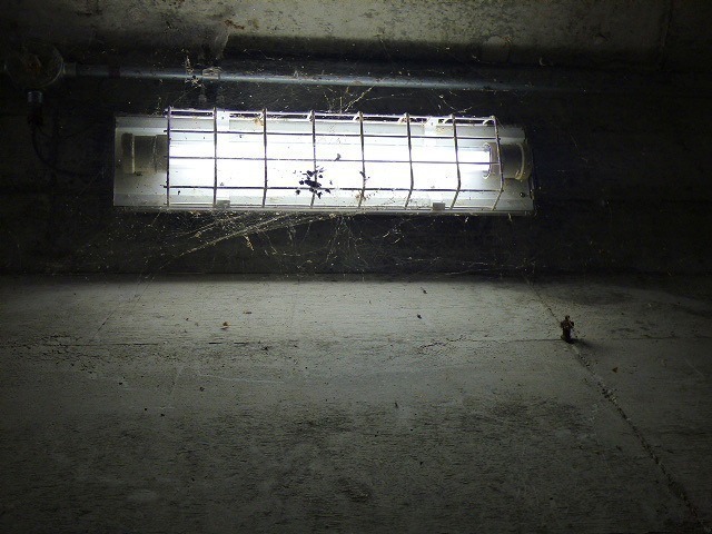 P1050095.jpg