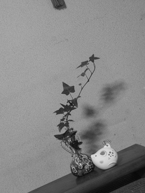 P1050124.jpg