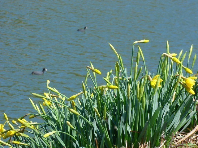 P1050150.jpg