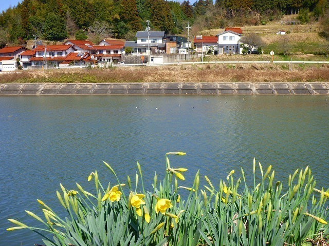 P1050155.jpg