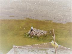 P1040837 (2).jpg